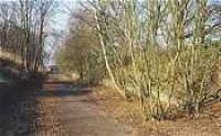 Looking south at the former Colliston station.<br><br>[Ewan Crawford //]