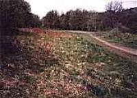 Looking west over the former station site, Blanefield.<br><br>[Ewan Crawford //]