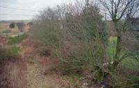 Looking north over the remains of Pitlurg station.<br><br>[Ewan Crawford //]