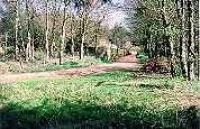 View looking east along trackbed at Dunsyre.<br><br>[Ewan Crawford //]