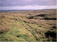 Tracks in moss, looking south, southern section of Duchal Moor Railway.<br><br>[Ewan Crawford //]