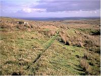 Tracks in moss, looking south, southern section of Duchal Moor Railway.<br><br>[Ewan Crawford //]