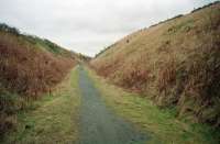 Newmachar cutting, looking north.<br><br>[Ewan Crawford //]