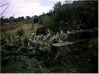 Looking south east at Springburn Goods.<br><br>[Ewan Crawford //]