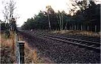 The site of Black Island platform viewed from the west.<br><br>[Ewan Crawford //]