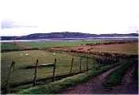 Looking north at the line near the former Clunes station.<br><br>[Ewan Crawford //]