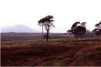 View looking north showing the wild scenery to the south of Forsinard.<br><br>[Ewan Crawford //]