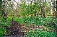 To the west of the former Gifford station, looking west.<br><br>[Ewan Crawford //]