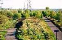 Looking south over the site of Smeaton station.<br><br>[Ewan Crawford //]