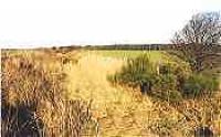 View looks east towards Buckie over Lossie Junction.<br><br>[Ewan Crawford //]