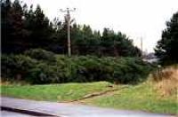 View looking west towards the site of Rifle Range Halt.<br><br>[Ewan Crawford //]