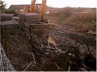 Looking west at Brunstane station under construction.<br><br>[Ewan Crawford //]