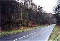 Near the site of Rohallion station viewed from the south.<br><br>[Ewan Crawford //]