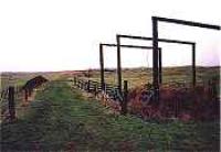 Looking north near the former Welshs Crossing Halt.<br><br>[Ewan Crawford //]