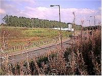 Alloa yard today, looking east.<br><br>[Ewan Crawford //]