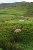 Bellpits by Shortcleugh, looking south east from the trackbed.<br><br>[Ewan Crawford 16/08/2004]