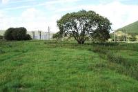 Looking at the mainline Caledonian Railway from the former branch line at Elvanfoot.<br><br>[Ewan Crawford 15/08/2004]