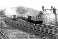 40030 on a northbound freight held in the down loop at Berwick for a passing InterCity 125 Kings Cross - Edinburgh working.<br><br>[John Furnevel 10/08/1981]