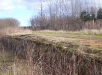 Abandonded platform at Kirriemuir Junction<br><br>[Bruce Dunn //]