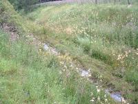 Between Dava and Grantown the trackbed is still waterlogged in places even in a dry summer. July 2006.<br><br>[John Gray /07/2006]