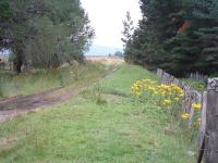 Going south from Dava the trackbed snakes its way onto the moor. July 2006.<br><br>[John Gray /07/2006]