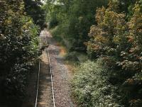 Almost hidden by summer foliage, the platform at Meadowbank, Edinburgh, looking south in 2006. The station was built to serve the adjacent stadium which hosted the Commonwealth Games in 1970 and 1986, when a shuttle service operated from Waverley via Abbeyhill.<br><br>[John Furnevel 04/07/2006]