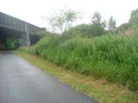 Looking West from where Platform 2 stood, this shows the station site along with the metal pillars erected by the local council to prop up the road bridge. The station house was burnt out and demolished in 2003.<br><br>[Graham Morgan 20/07/2006]