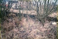 Platform at Torrance. The site is now obliterated. This was the side of the goods platform which faced the passing loop, the photograph is taken from the passenger platform. This goods platform was also served by a siding. The line east to Kilsyth continued to the left and Maryhill was to the right.<br><br>[Ewan Crawford //1987]