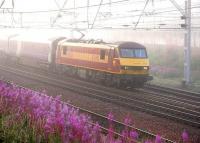 In an eerie combination of bright morning sunshine and a thin mist, the Rosebay Willowherb around Carstairs station almost seems to glow as EWS 90031 pulls up well beyond the platform with the 15 coaches of the Edinburgh / Glasgow Sleeper from Euston at 06.15 on 8 August 2006. Once the rear 7 coaches have been uncoupled, 90031 will continue on its journey to Glasgow Central.   <br><br>[John Furnevel 08/08/2006]