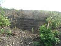 This view, looking South, shows part of the retaining wall for the embankment that made its way  east to the Cart Junction.<br><br>[Graham Morgan 25/07/2006]