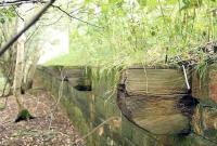 Platform edge with birch trees - remains of the platform at Pomathorn, looking east along the overgrown trackbed in August 2006.<br><br>[John Furnevel 06/08/2006]