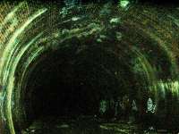 Tunnel leading to Botanic Gardens.<br><br>[Colin Harkins //]