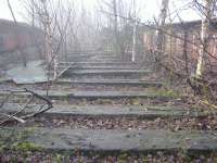 Looking South on the Rail Bridge over Dalmarnock Rd, Glasgow. Notice the young tree growth.<br><br>[Colin Harkins 04/02/2006]