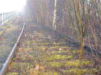 Where to now? The line just breaks up before meeting the boundary fence with the operational railway<br><br>[Colin Harkins 04/02/2006]