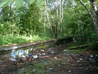 <h4><a href='/locations/K/Kirklee'>Kirklee</a></h4><p><small><a href='/companies/G/Glasgow_Central_Railway'>Glasgow Central Railway</a></small></p><p>Part of the old platform looking towards Botanic Gardens. 2/25</p><p>09/07/2006<br><small><a href='/contributors/Colin_Harkins'>Colin Harkins</a></small></p>