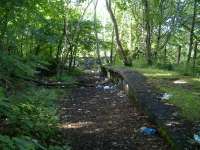 Part of the old platform looking out of Kirklee.<br><br>[Colin Harkins 09/07/2006]