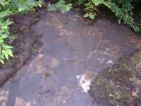 Nothing like a bit of hard work to reveal the past.... The floor of the booking hall/waiting room. <br><br>[Colin Harkins 09/07/2006]