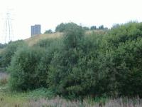 Looking up to Switchback Line...notice the plyon and flats in background.<br><br>[Colin Harkins 29/08/2006]