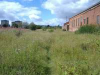 The trackbed outline still exists.. Complete with path. This area has bad drainage and is well used by pigeon breeders<br><br>[Colin Harkins 29/08/2006]