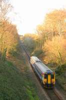 Felbrigg Cutting near Roughton Road. <br><br>[Ian Dinmore //]