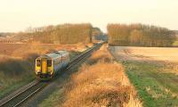 Middle Plantation wood near Gunton.<br><br>[Ian Dinmore //]