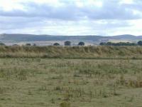 Looking from the Kirriemuir Branch to the Perth-Forfar route<br><br>[Colin Harkins 31/08/2006]