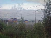 EWS Class 66 66019 with a loaded coal train from Hunterston passes DRS Class 66 66403 which is offloading freight at WH Malcolms Freight Terminal.<br><br>[Graham Morgan 06/09/2006]