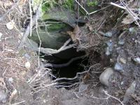 Land giving away its secrets again!! Edge of infilled cutting at the tunnel under Innerleithen Rd, Peebles [See image 10817]<br><br>[Colin Harkins /03/2006]