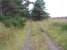 Dava Moor. Trackbed looking south. Snow fence on right. July 2006<br><br>[John Gray /07/2006]