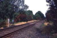 Faslane Junction looking towards Garelochhead in 1984. The line to the military exchange sidings left the WHL below the V in the trees in the centre of the picture.<br><br>[John McIntyre //1984]