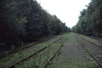 Military exchange sidings in 1984 looking towards Faslane. The connection to the WHL (off picture right) had been removed by this time but track part of the way down to Faslane was still in place.<br><br>[John McIntyre //1984]