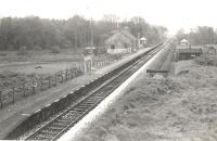 Buchan stations. Logierieve.<br><br>[G H Robin collection by courtesy of the Mitchell Library, Glasgow 15/05/1959]