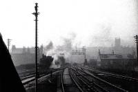 An engine heading for the shed at Princes Pier on the last day of regular passenger services<br><br>[Graham Morgan collection 31/01/1959]