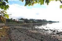 A lengthy Mossend - Fort William Junction Yard freight approaches Cardross.<br><br>[Ewan Crawford 02/10/2006]